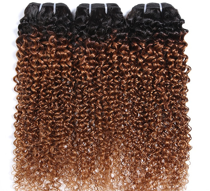 Afro Kinky Curly Wig T1B/30 – Real Human Hair Wig for Women
